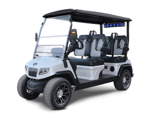 EVolution D5-Ranger 4 Golf Cart
