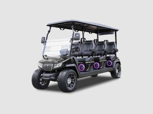 EVolution D5-RANGER 6 PLUS Golf Cart